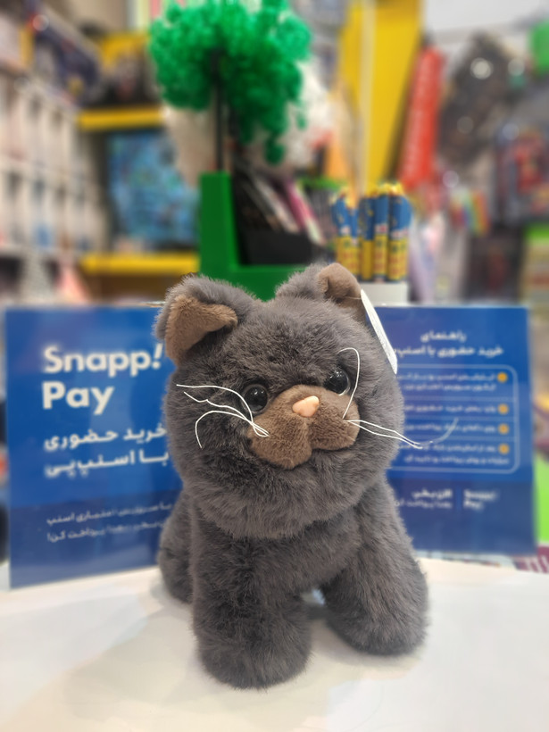 عروسک پولیشی گربه بابی